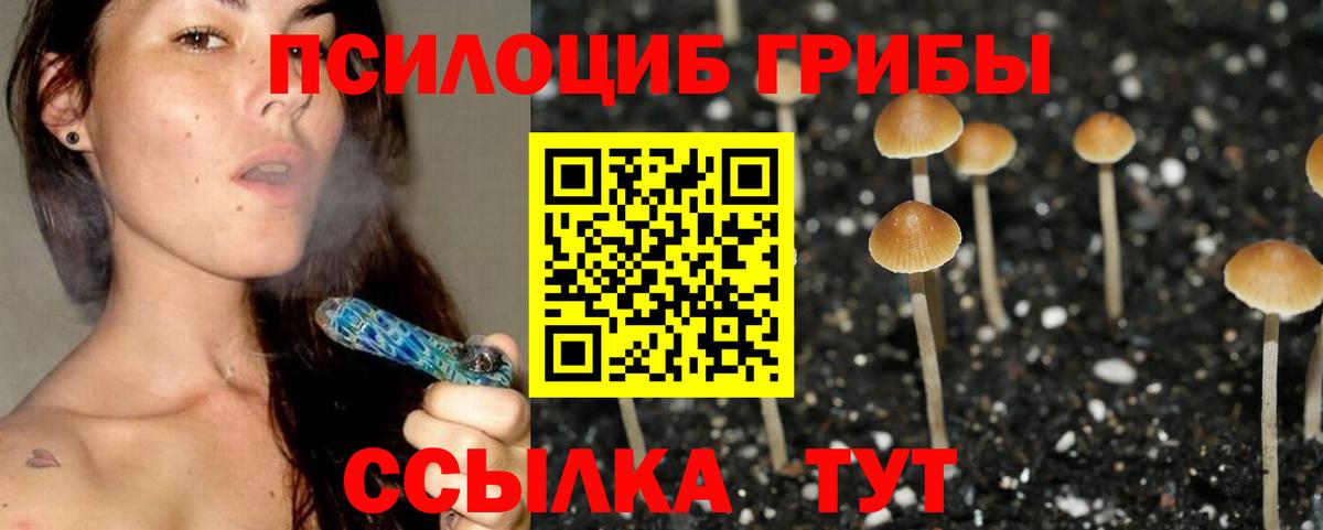 Псилоцибиновые грибы прущие грибы  Вход с VPN  Керчь 